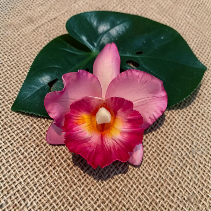 Pink Orchid Sei (10 cm)