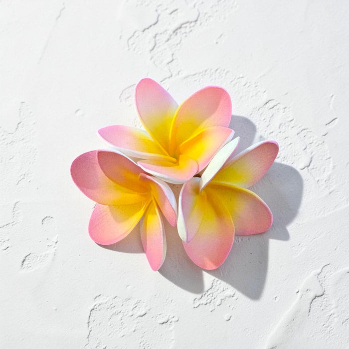 Pink Triple Plumeria Sei (11 cm)