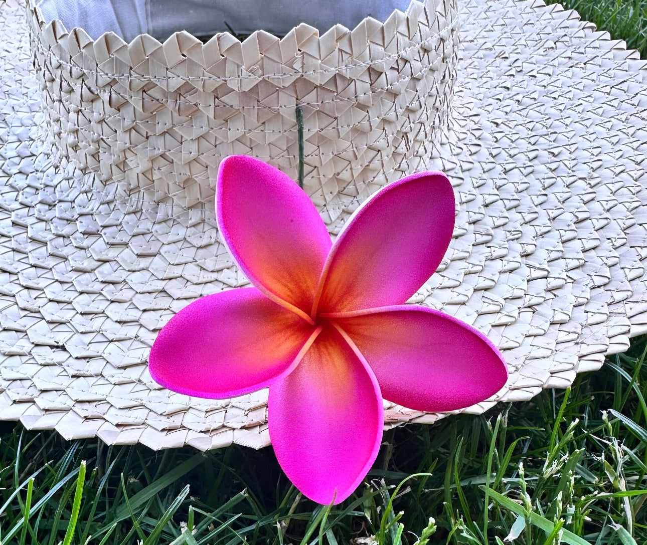 Plumeria (Pua 9 CM)