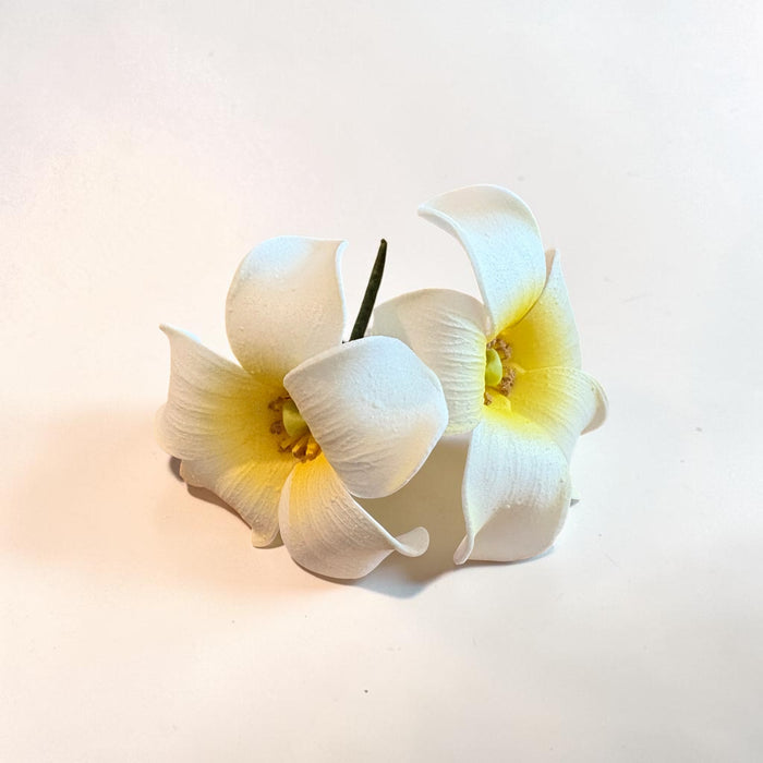 Double White Puakenikeni Sei