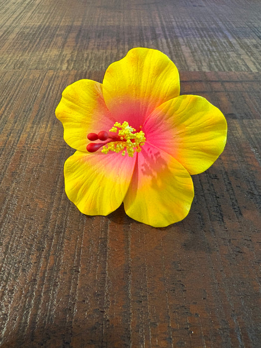 Yellow Hibiscus Sei (9 cm)