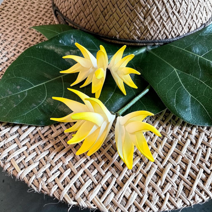 White and Yellow Heliconia Sei (Vaepa’a)