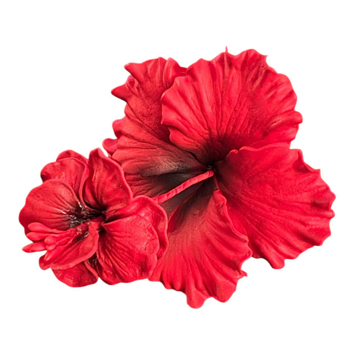 Red Hibiscus Sei (10 cm)