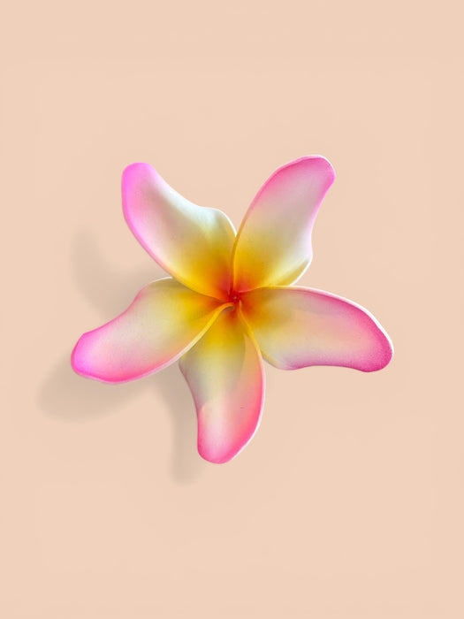 White and Pink Plumeria Sei (9 cm)