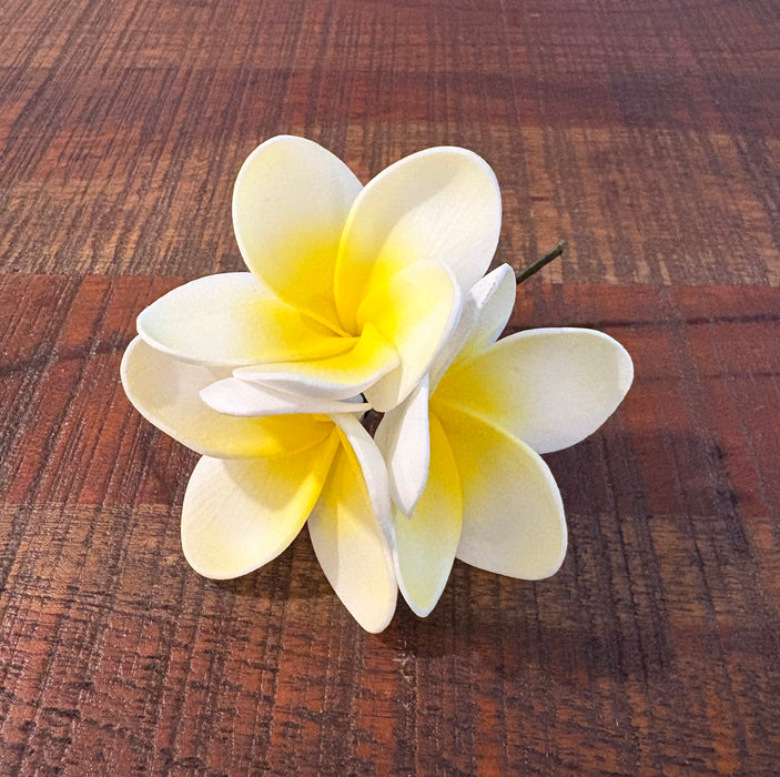 Triple Plumeria Sei (11 cm)