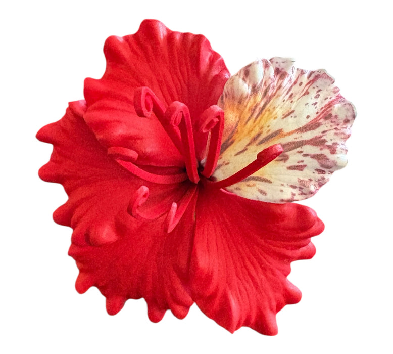 Red Ohai-Ali’i Sei (9 cm)