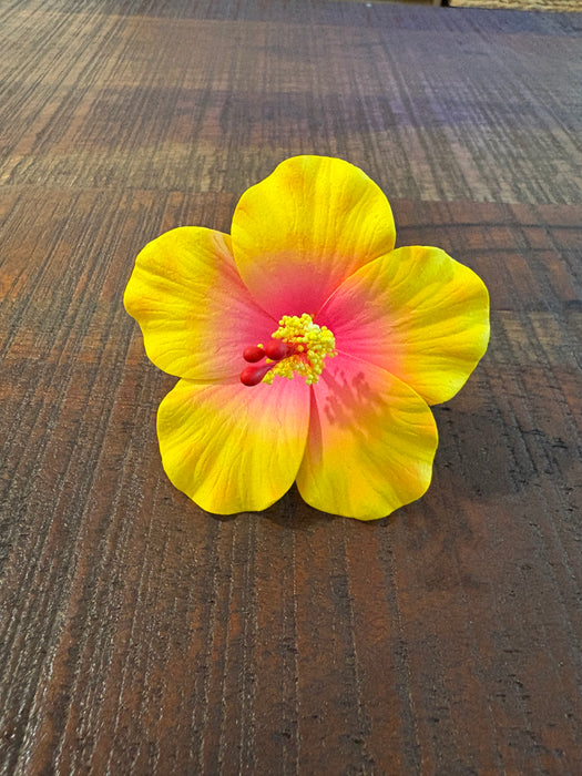 Yellow Hibiscus Sei (9 cm)