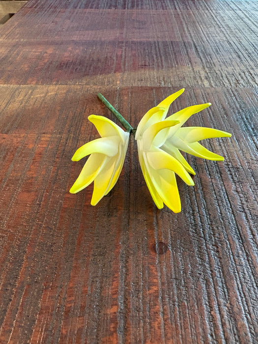 White and Yellow Heliconia Sei (Vaepa’a)