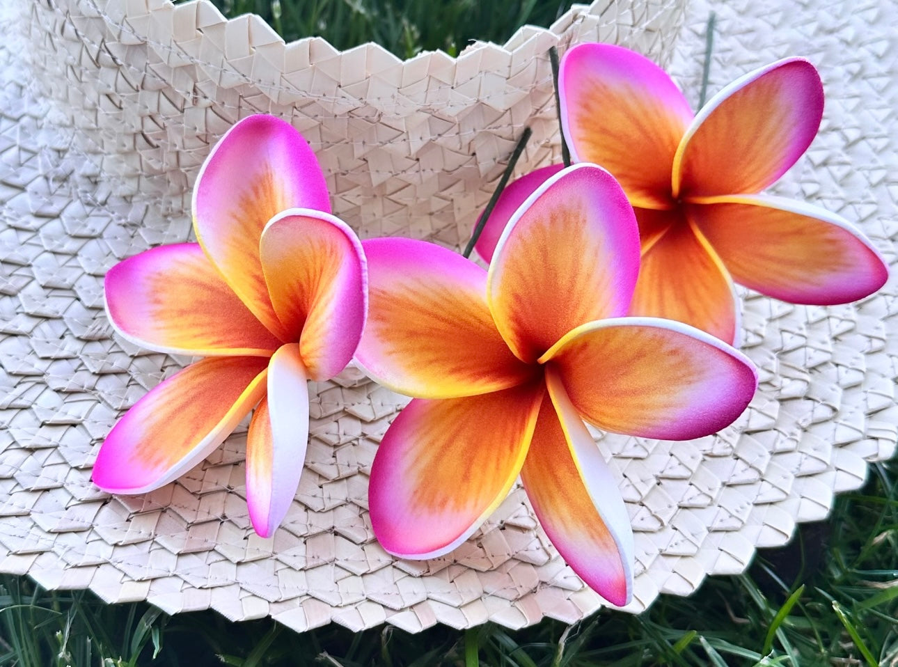 Plumeria (9 CM)