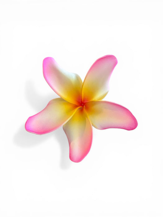 White and Pink Plumeria Sei (9 cm)