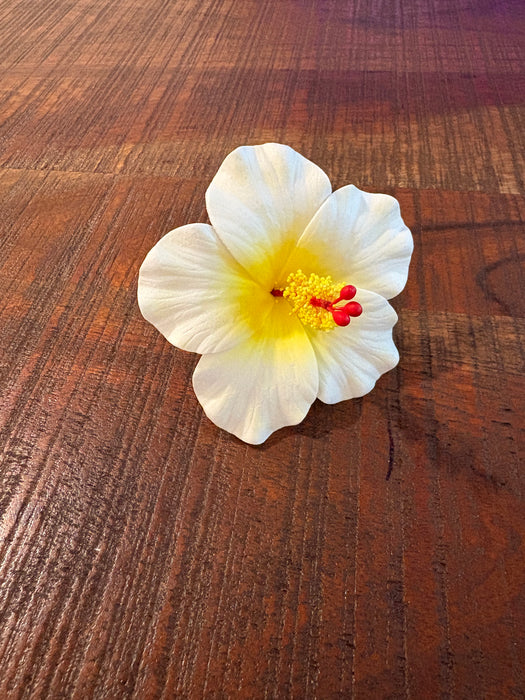 White Hibiscus Sei (9 cm)
