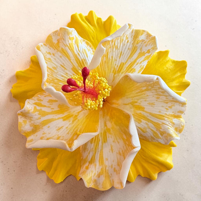 Double-Yellow Hibiscus Sei (11 cm)