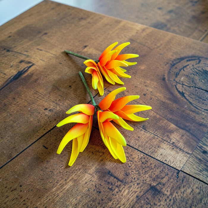 Yellow and Orange Heliconia Sei (Vaepa’a)