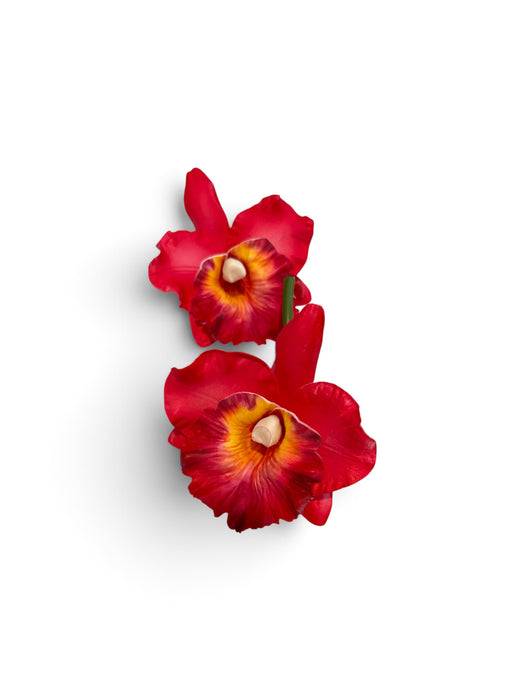 Red Orchid Sei (10 cm)