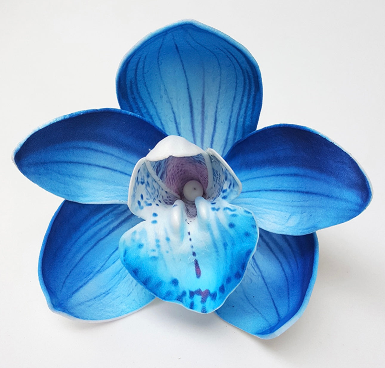 Orchid “Sei (10 CM)