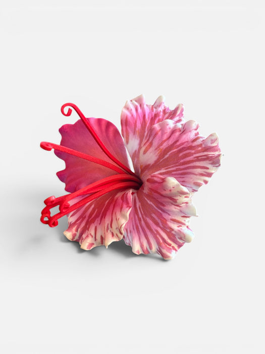 Pink Ohai Ali’i Sei ( 9 cm)