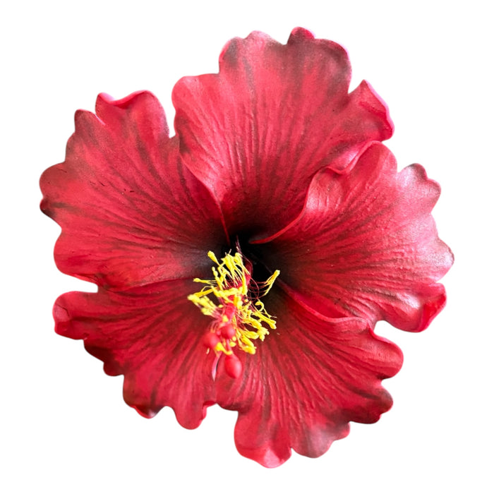 Red Hibiscus Sei (10 cm)