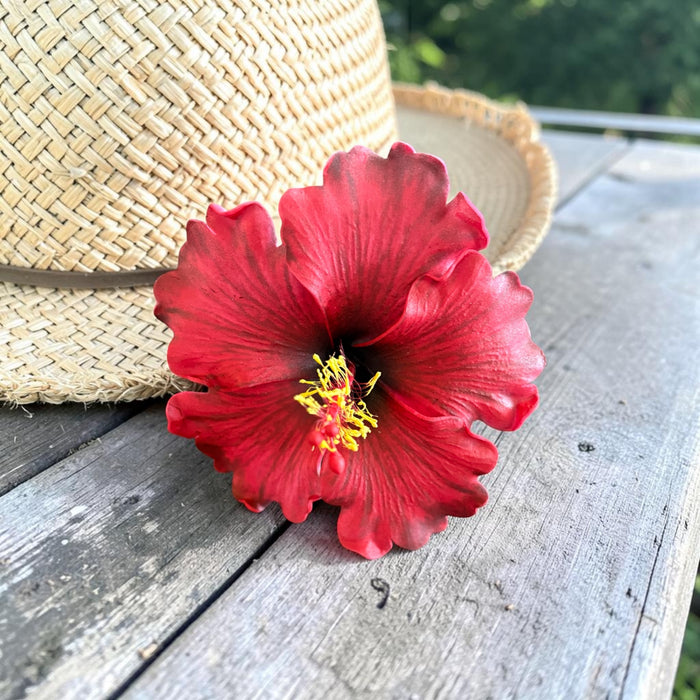 Red Hibiscus Sei (10 cm)