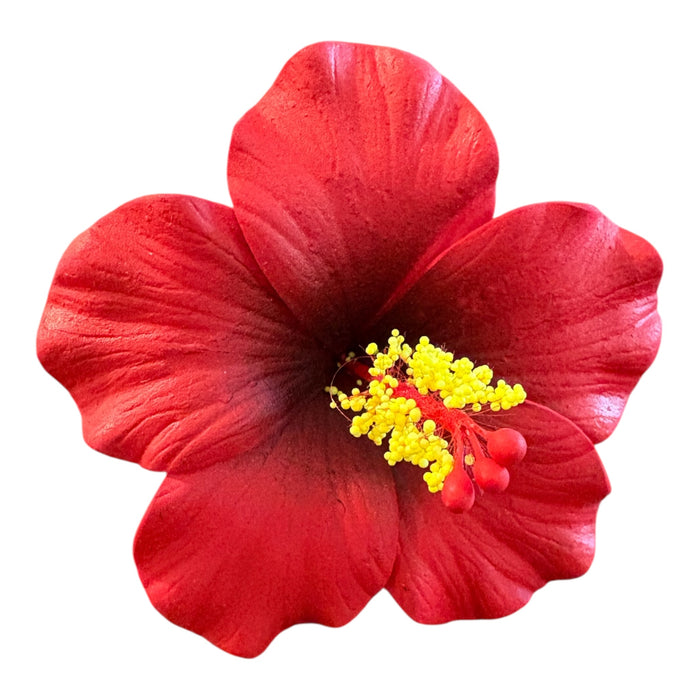 Red Hibiscus Sei (9 cm)