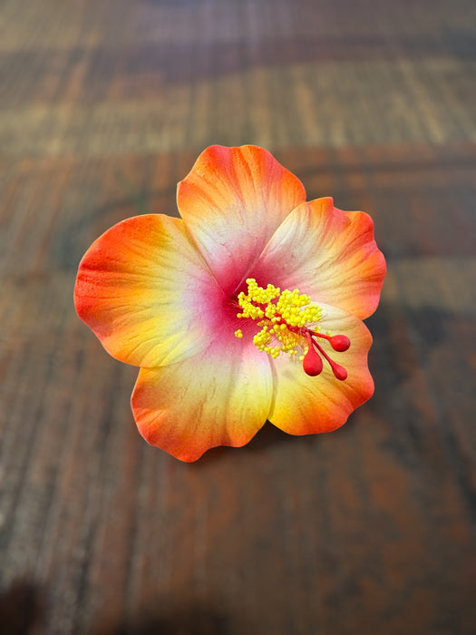 Orange Hibiscus Sei (9 cm)